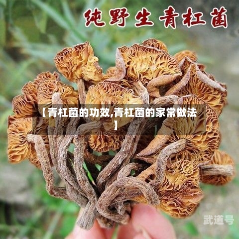 【青杠菌的功效,青杠菌的家常做法】