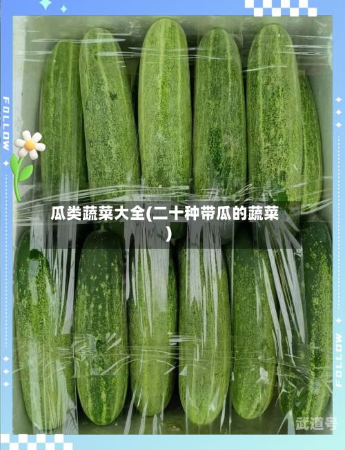 瓜类蔬菜大全(二十种带瓜的蔬菜)