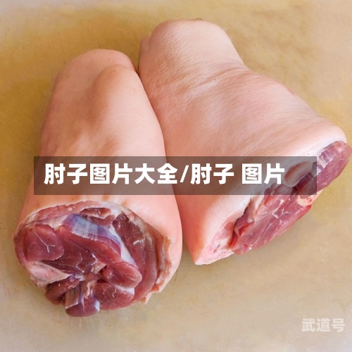 肘子图片大全/肘子 图片