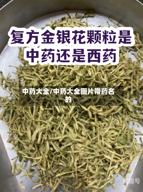 中药大全/中药大全图片带药名的