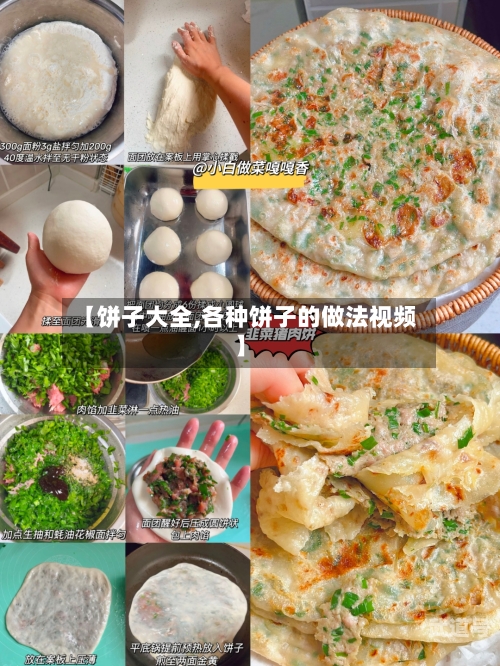 【饼子大全,各种饼子的做法视频】
