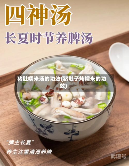 猪肚糯米汤的功效(猪肚子炖糯米的功效)-第3张图片