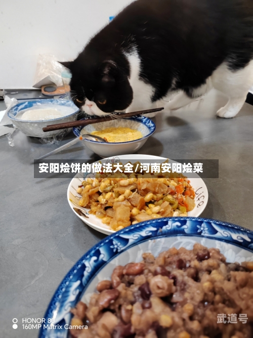 安阳烩饼的做法大全/河南安阳烩菜