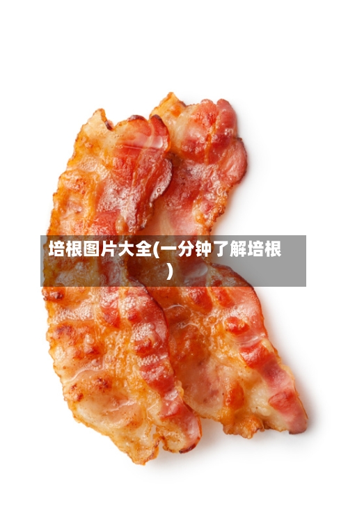 培根图片大全(一分钟了解培根)