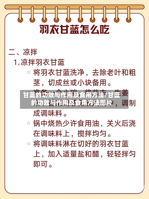 甘蓝的功效与作用及食用方法/甘蓝的功效与作用及食用方法图片-第3张图片