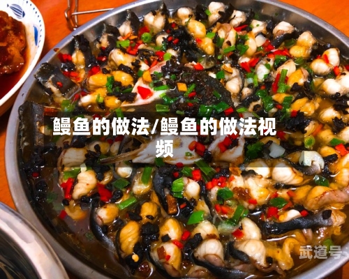 鳗鱼的做法/鳗鱼的做法视频