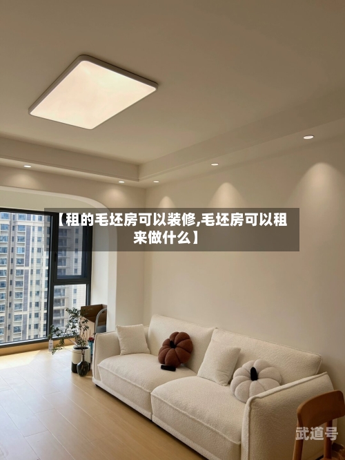 【租的毛坯房可以装修,毛坯房可以租来做什么】