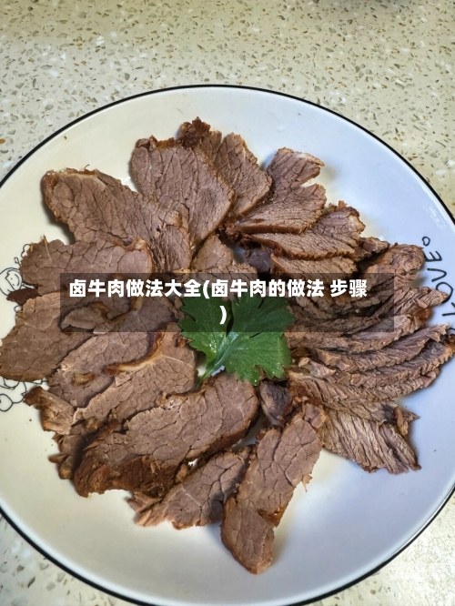 卤牛肉做法大全(卤牛肉的做法 步骤)