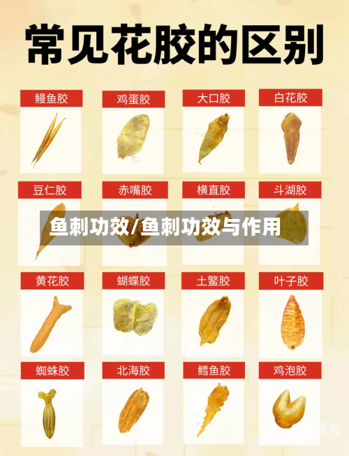 鱼刺功效/鱼刺功效与作用