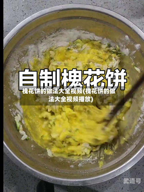 槐花饼的做法大全视频(槐花饼的做法大全视频播放)