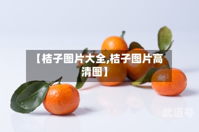 【桔子图片大全,桔子图片高清图】