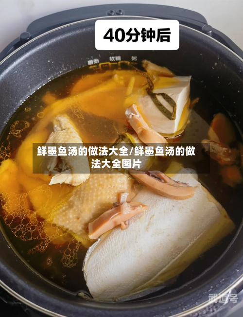 鲜墨鱼汤的做法大全/鲜墨鱼汤的做法大全图片