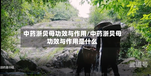 中药浙贝母功效与作用/中药浙贝母功效与作用是什么