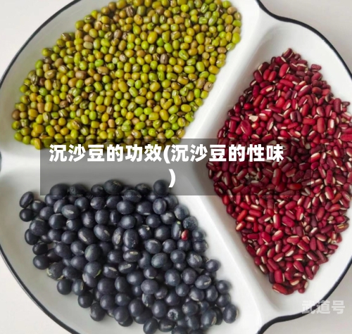沉沙豆的功效(沉沙豆的性味)