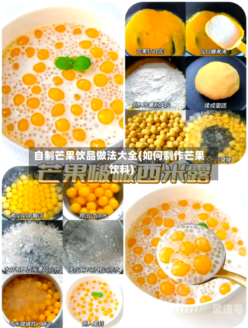 自制芒果饮品做法大全(如何制作芒果饮料)