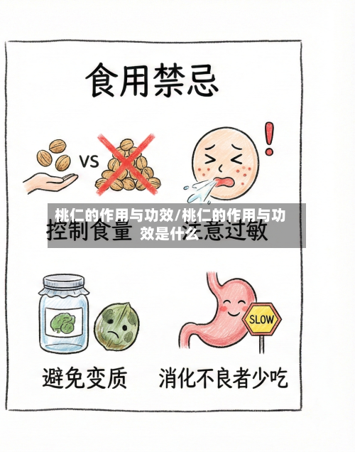桃仁的作用与功效/桃仁的作用与功效是什么