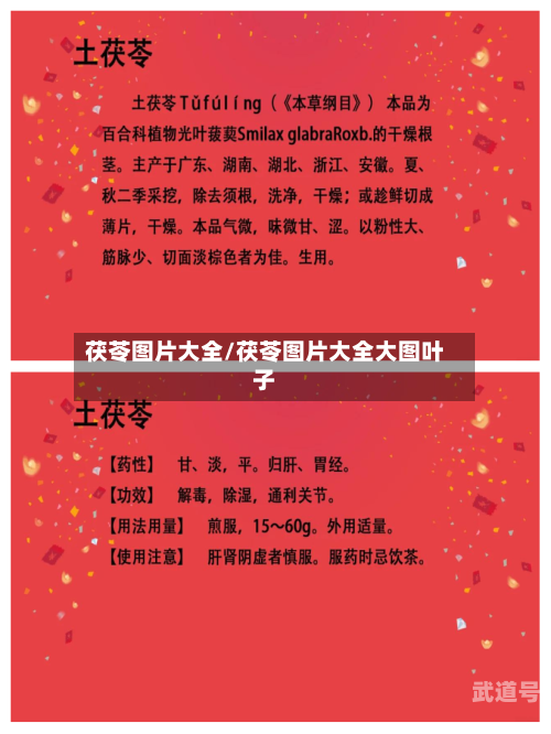 茯苓图片大全/茯苓图片大全大图叶子