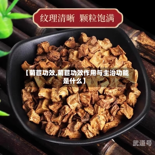 【菊苣功效,菊苣功效作用与主治功能是什么】