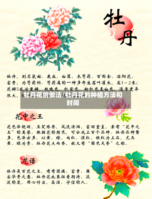 牡丹花的做法/牡丹花的种植方法和时间