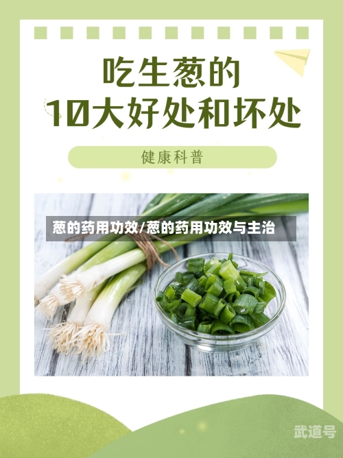 葱的药用功效/葱的药用功效与主治
