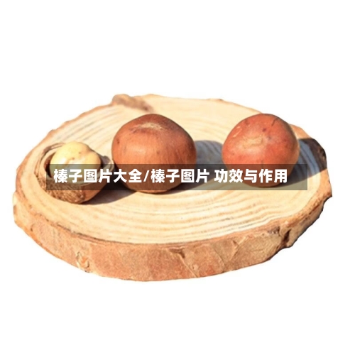 榛子图片大全/榛子图片 功效与作用