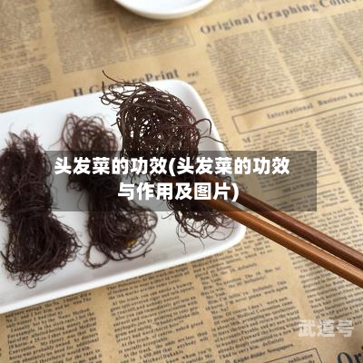 头发菜的功效(头发菜的功效与作用及图片)