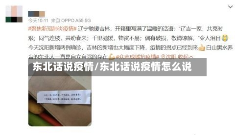 东北话说疫情/东北话说疫情怎么说-第3张图片