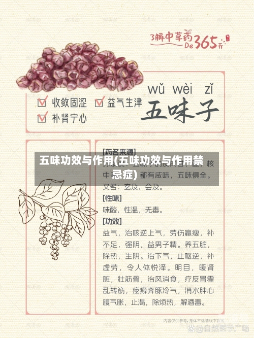 五味功效与作用(五味功效与作用禁忌症)-第2张图片
