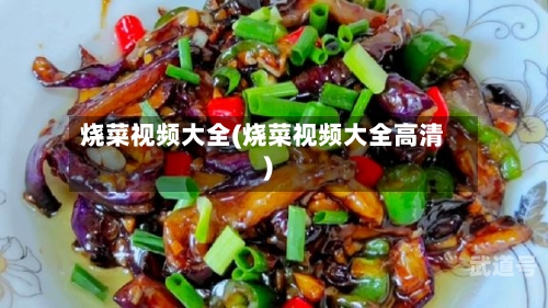 烧菜视频大全(烧菜视频大全高清)