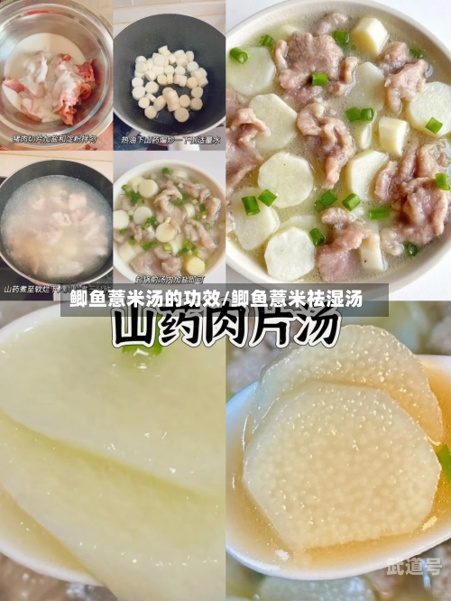 鲫鱼薏米汤的功效/鲫鱼薏米祛湿汤-第3张图片