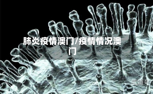 肺炎疫情澳门/疫情情况澳门-第3张图片