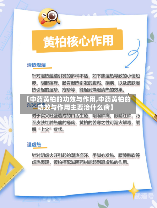 【中药黄柏的功效与作用,中药黄柏的功效与作用主要治什么病】
