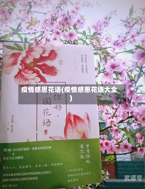 疫情感恩花语(疫情感恩花语大全)-第2张图片