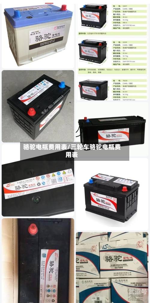 骆驼电瓶费用表/三轮车骆驼电瓶费用表