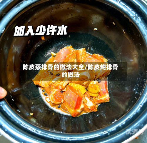 陈皮蒸排骨的做法大全/陈皮炖排骨的做法