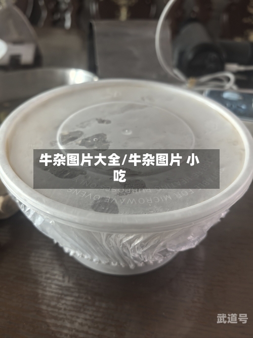 牛杂图片大全/牛杂图片 小吃