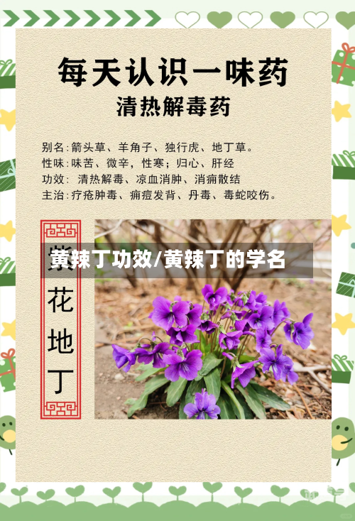 黄辣丁功效/黄辣丁的学名