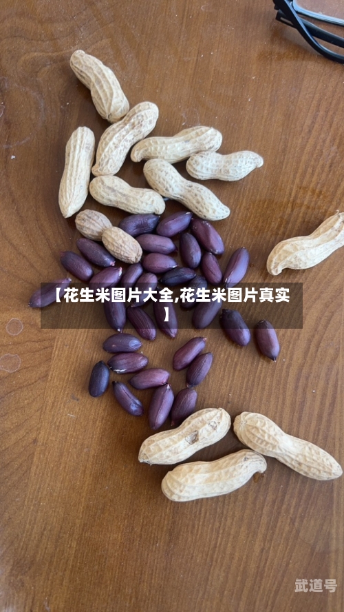 【花生米图片大全,花生米图片真实】-第3张图片