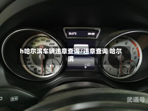 h哈尔滨车辆违章查询/违章查询 哈尔滨