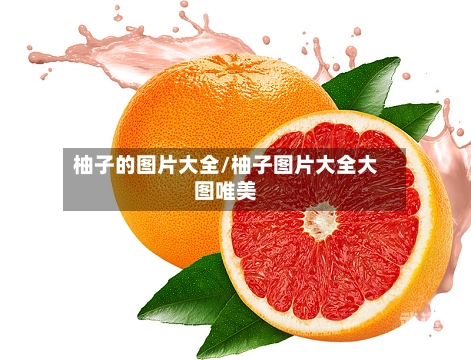 柚子的图片大全/柚子图片大全大图唯美-第2张图片