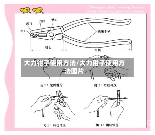 大力钳子使用方法/大力钳子使用方法图片-第3张图片