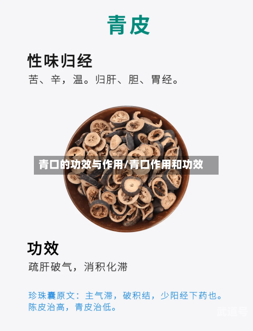 青口的功效与作用/青口作用和功效-第3张图片