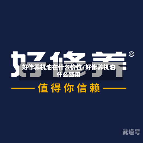 好修养机油在什么价位/好修养机油什么费用-第3张图片