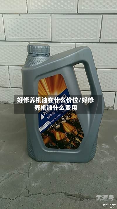 好修养机油在什么价位/好修养机油什么费用-第1张图片