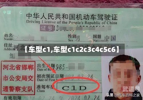 【车型c1,车型c1c2c3c4c5c6】