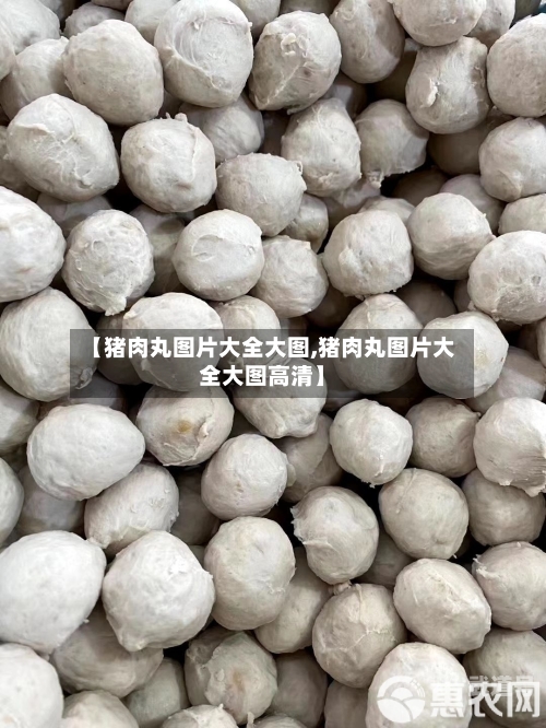 【猪肉丸图片大全大图,猪肉丸图片大全大图高清】