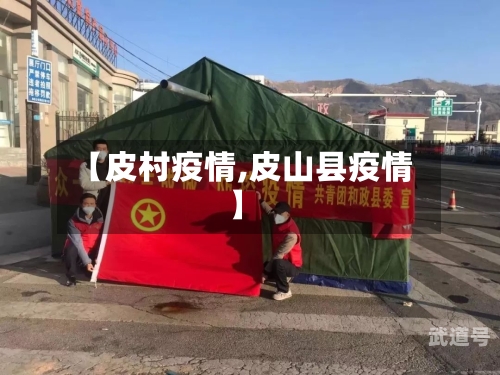 【皮村疫情,皮山县疫情】-第3张图片