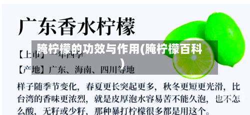 腌柠檬的功效与作用(腌柠檬百科)
