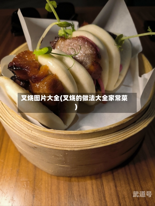叉烧图片大全(叉烧的做法大全家常菜)