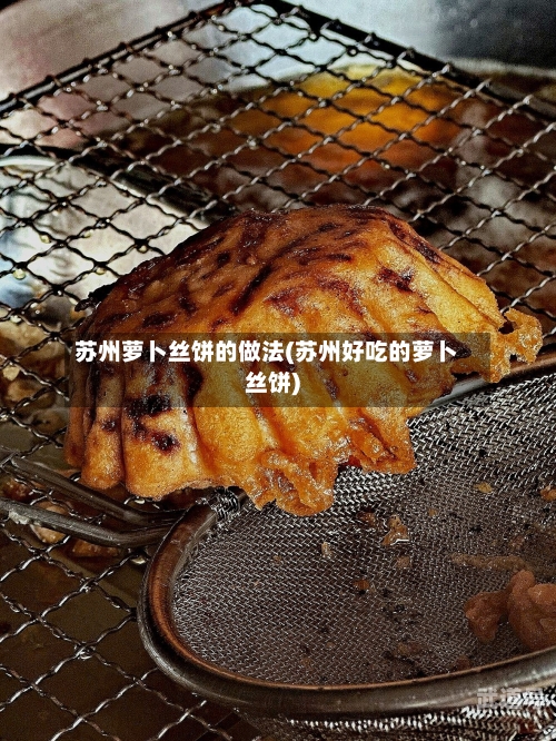 苏州萝卜丝饼的做法(苏州好吃的萝卜丝饼)-第3张图片